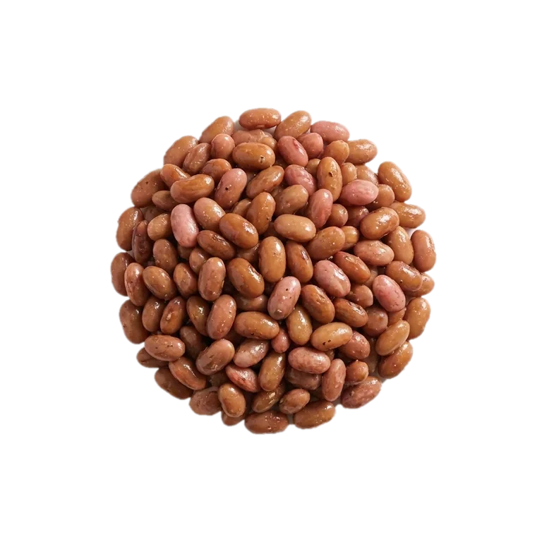 Pinto beans